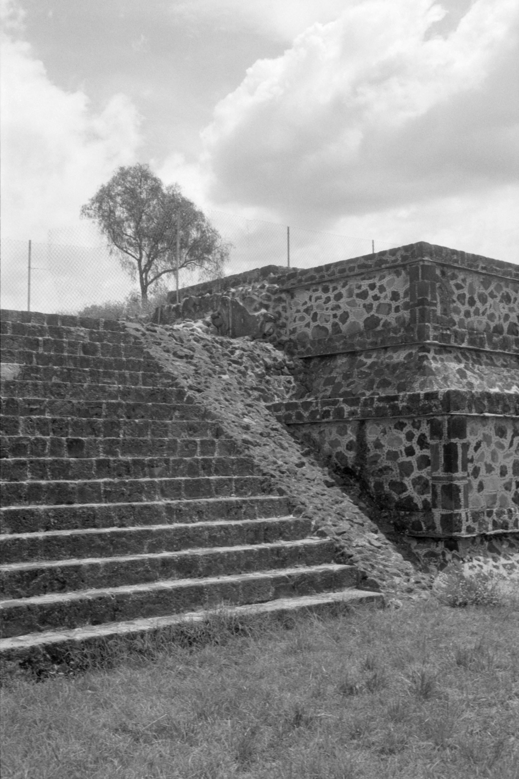 AHP FilmScan 240807 0539